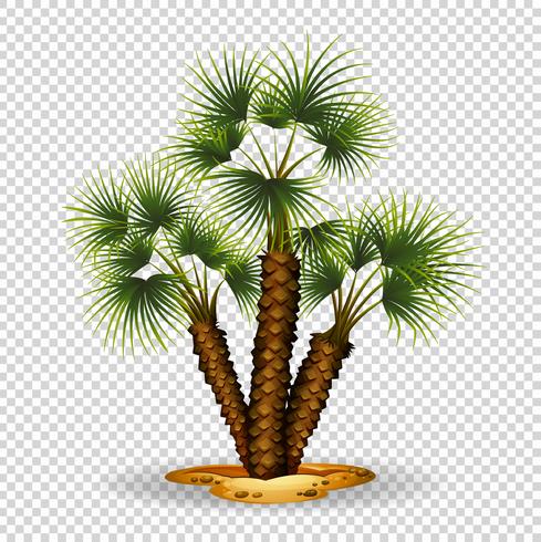 Gartenarbeitthema mit Palme vektor