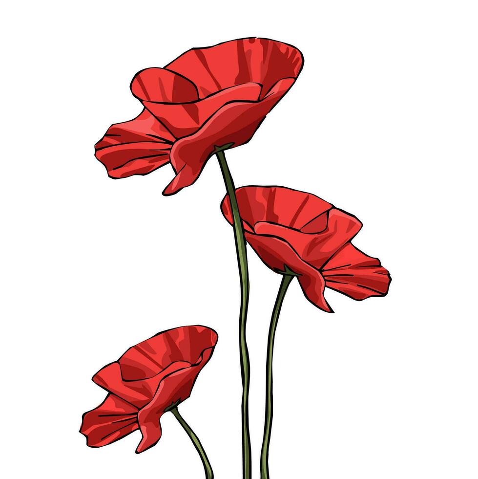 röd blomma tapet på en vit bakgrund vektor