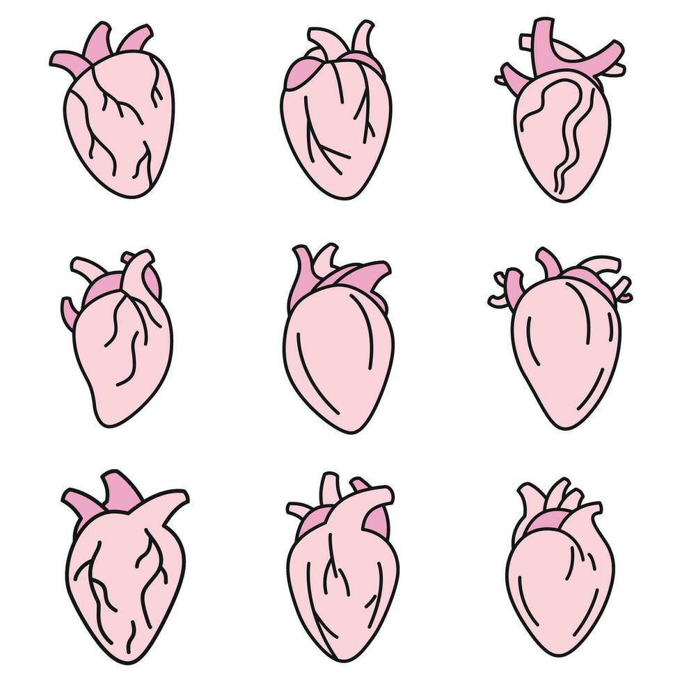 biologi mänsklig hjärta ikoner uppsättning vektor Färg