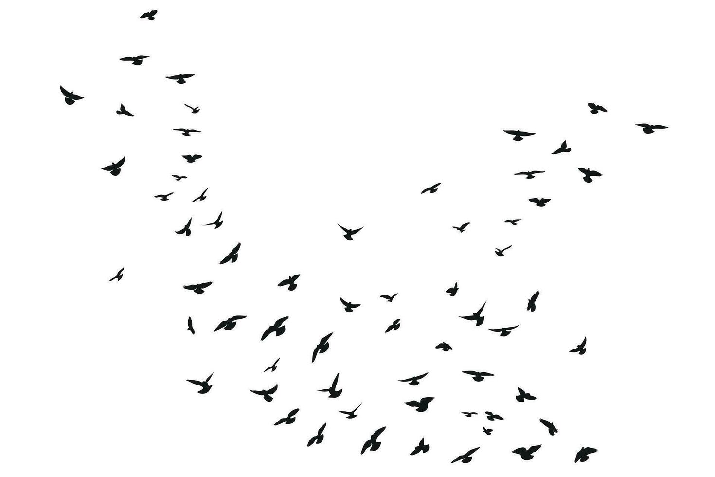 skiss silhuett av en flock av flygande svart fåglar, ta av, flygande, flyg, fladdra, flyga, sväva, sväva, landning, isolerat vektor