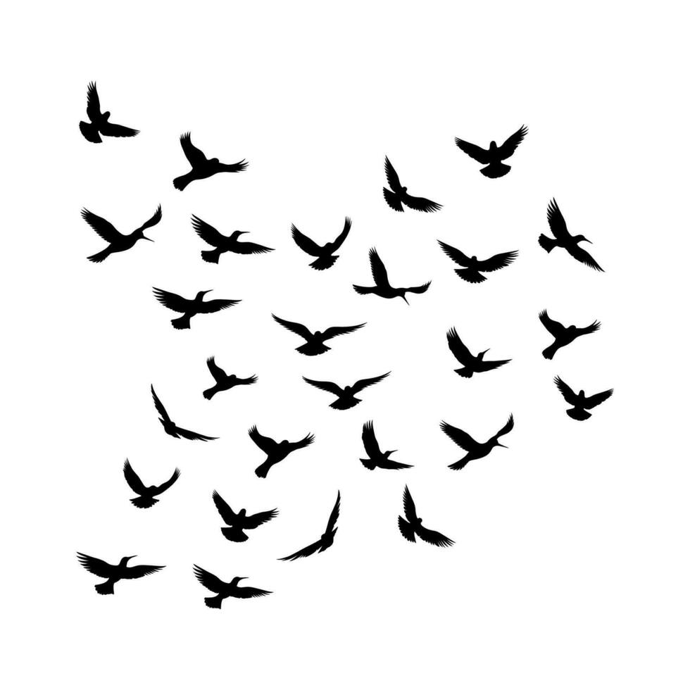 Vektor ein Herde von fliegend Silhouette Vögel Vektor Illustration