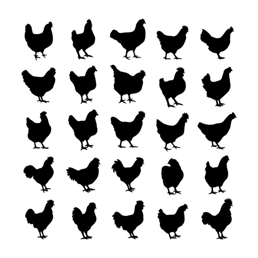kyckling silhuett eller höna silhuetter vektor illustration packa