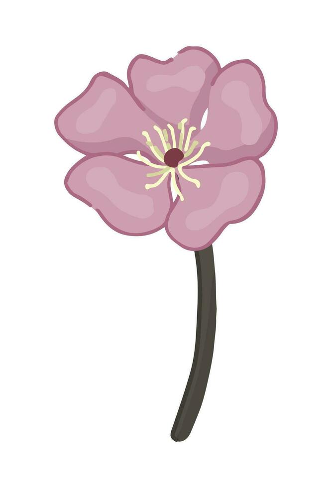 Kirsche blühen Blume Gekritzel. Frühling Zeit botanisch Clip Art. Karikatur Vektor Illustration isoliert auf Weiß Hintergrund.