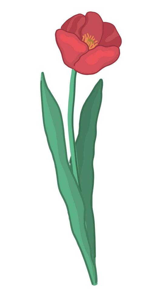 Tulpe Gekritzel. Frühling Zeit Blume Clip Art. Karikatur Vektor Illustration isoliert auf Weiß Hintergrund.