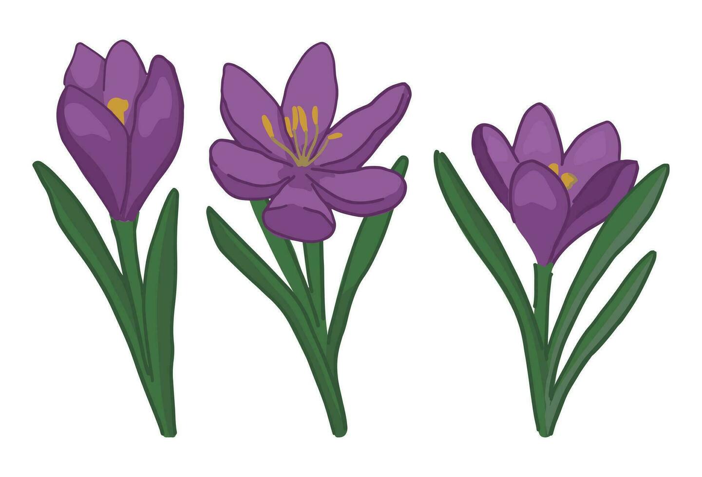 Frühling Zeit Blumen Sammlung. Clip Art einstellen von Krokus Gekritzel. Karikatur Vektor Illustration isoliert auf Weiß.