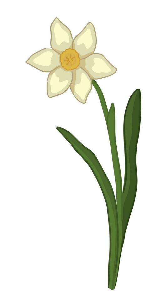 Narzisse Gekritzel. Frühling Zeit Blume Clip Art. Karikatur Vektor Illustration isoliert auf Weiß Hintergrund.