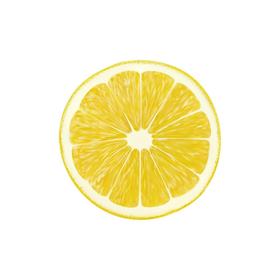 realistisch reif Gelb Zitrone Frucht, runden Scheibe Schnitt vektor