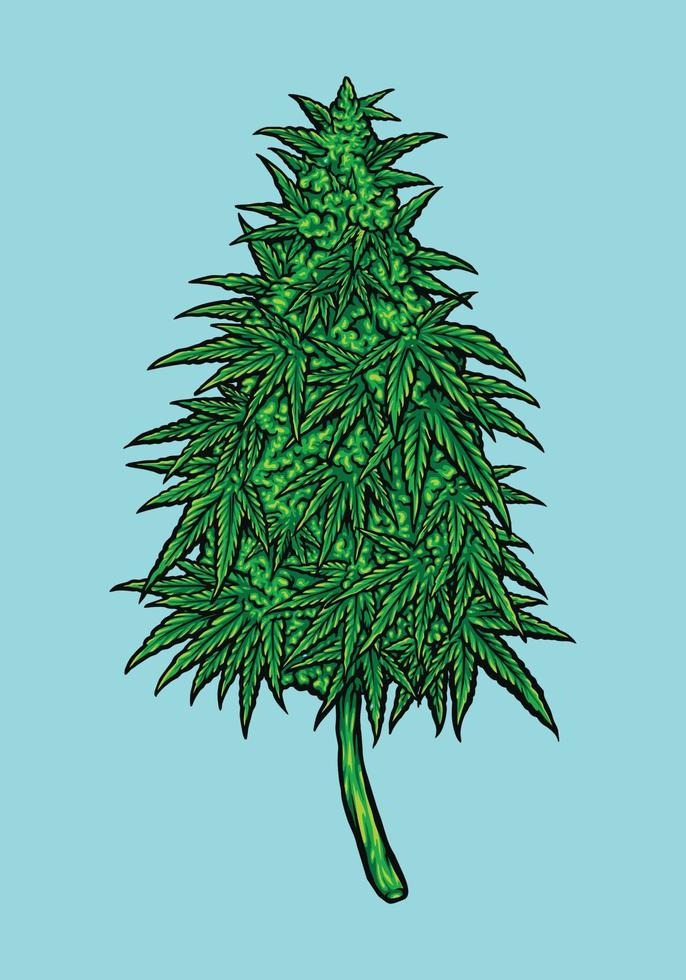 ogräs cannabidiol bladväxt illustrationer vektor