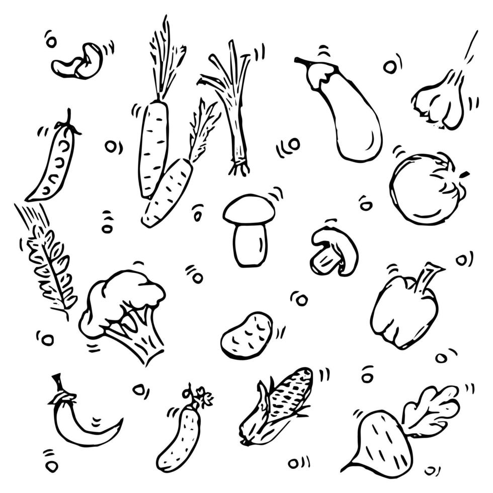 Vektor-Icons mit Gemüse. Gekritzelvektor mit Gemüseikonen auf weißem Hintergrund. Vintage vegetarische Symbole, süße Elemente Hintergrund für Ihr Projekt, Menü, Café-Shop. vektor