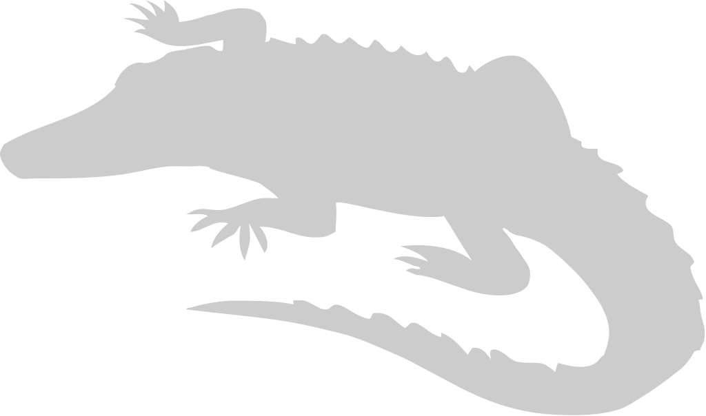 Alligator vektor