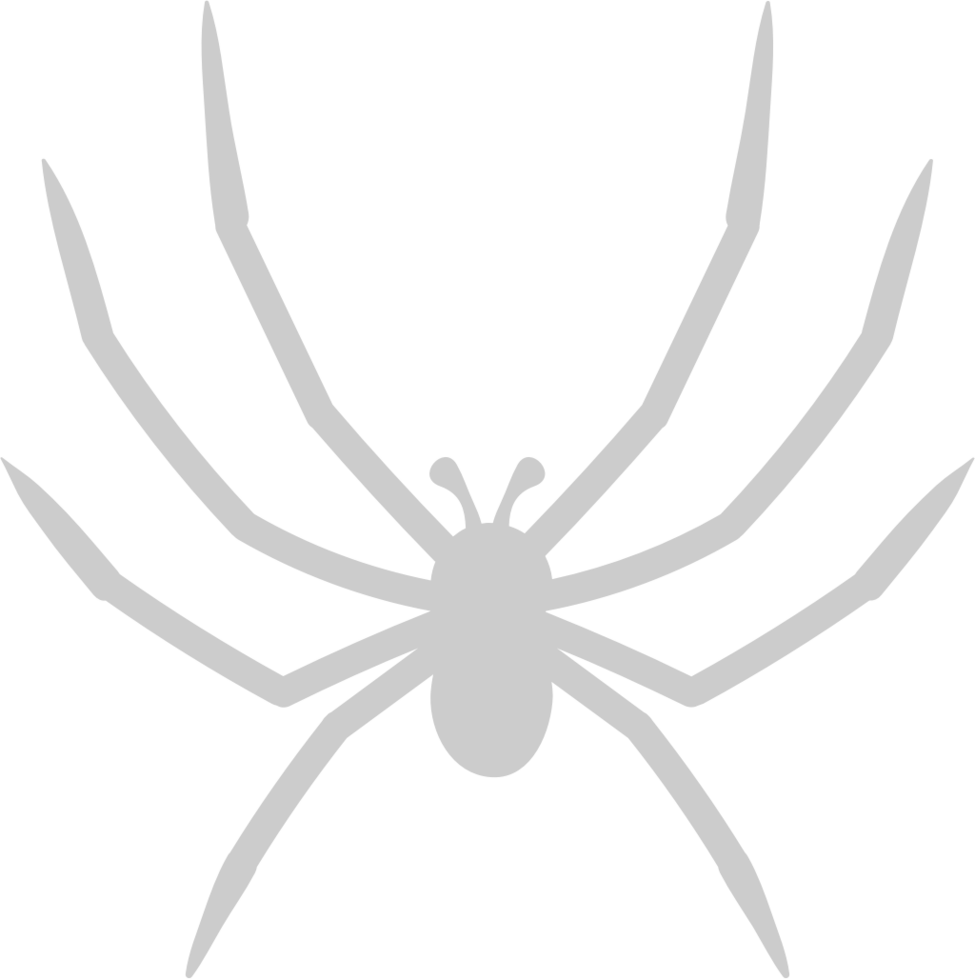 Spinne vektor