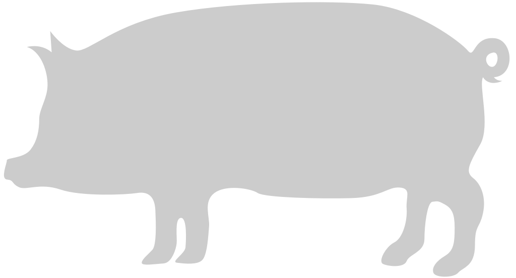 Tier Ursachen Schwein vektor