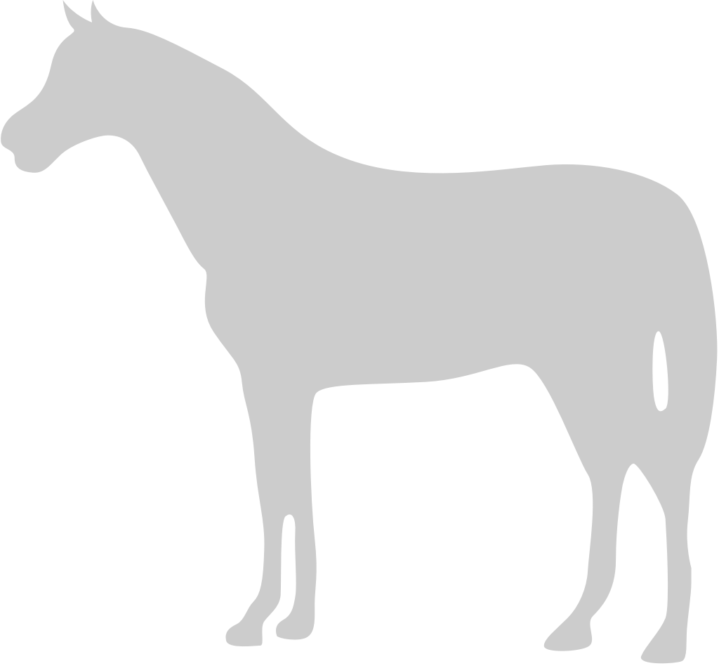 djur orsakar häst vektor