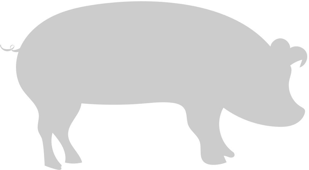 Tier Ursachen Schwein vektor