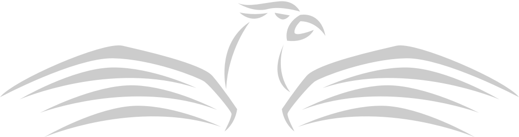 wing hawk logo vektor