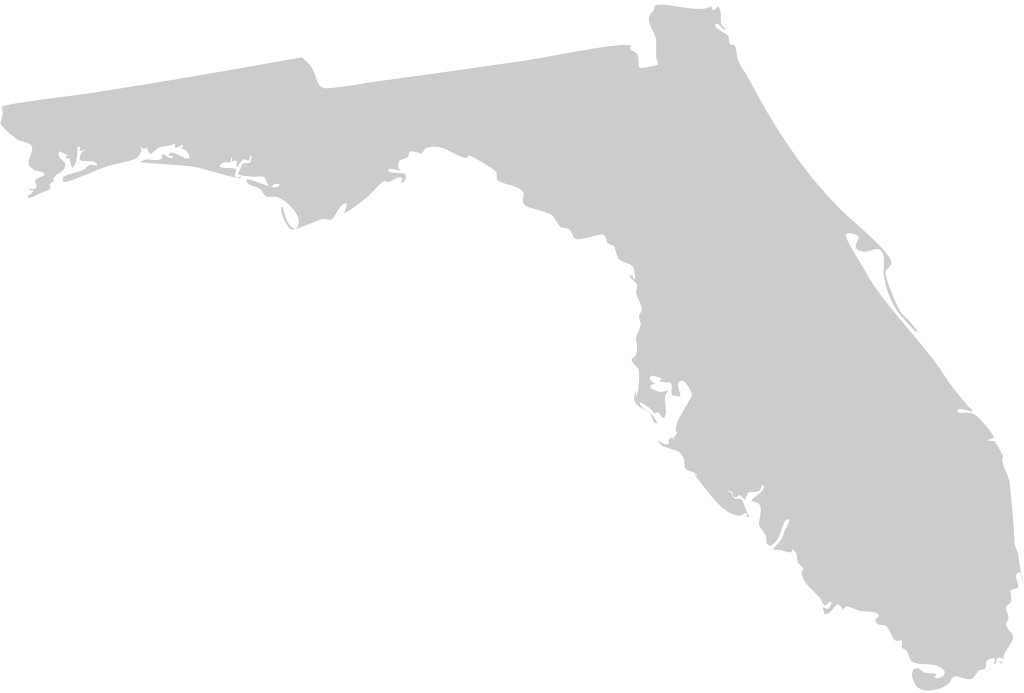 Florida Karte vektor