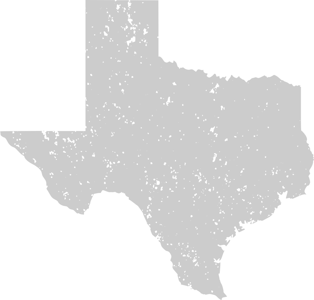 Texas Karte vektor