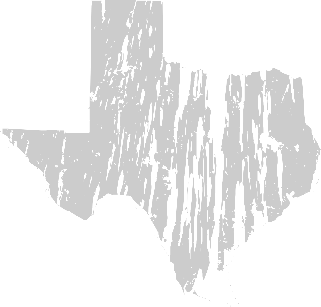 Texas vektor