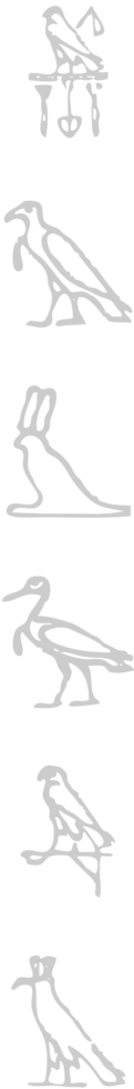 ägyptisch hieroglyphisch vektor