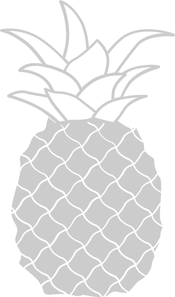 Ananas vektor