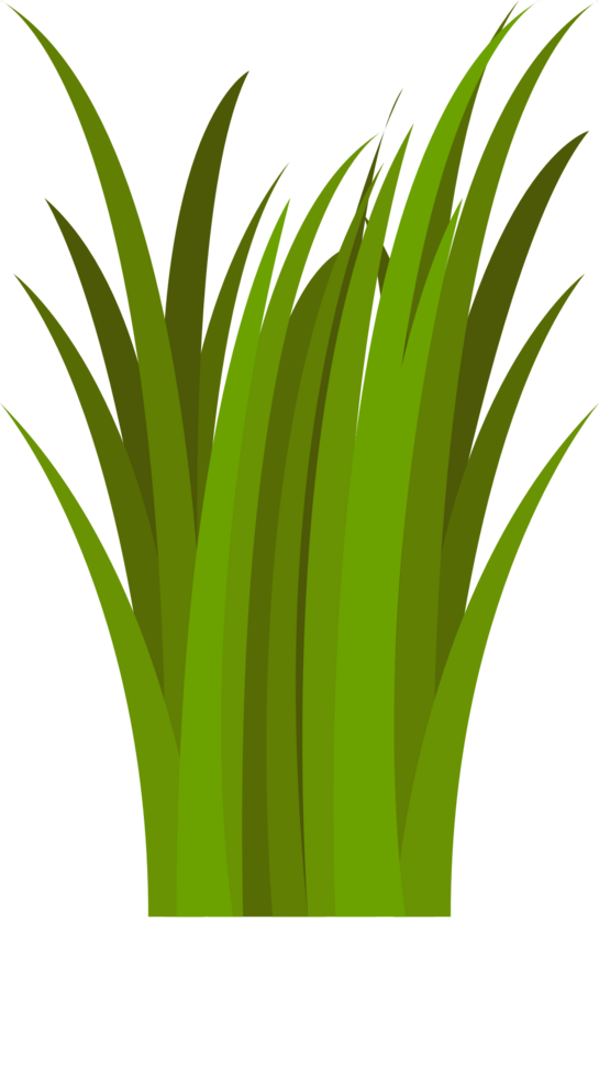 gräs vektor