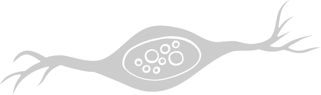 Neuronenbiologie vektor