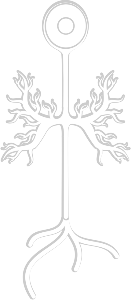 neuronbiologi vektor