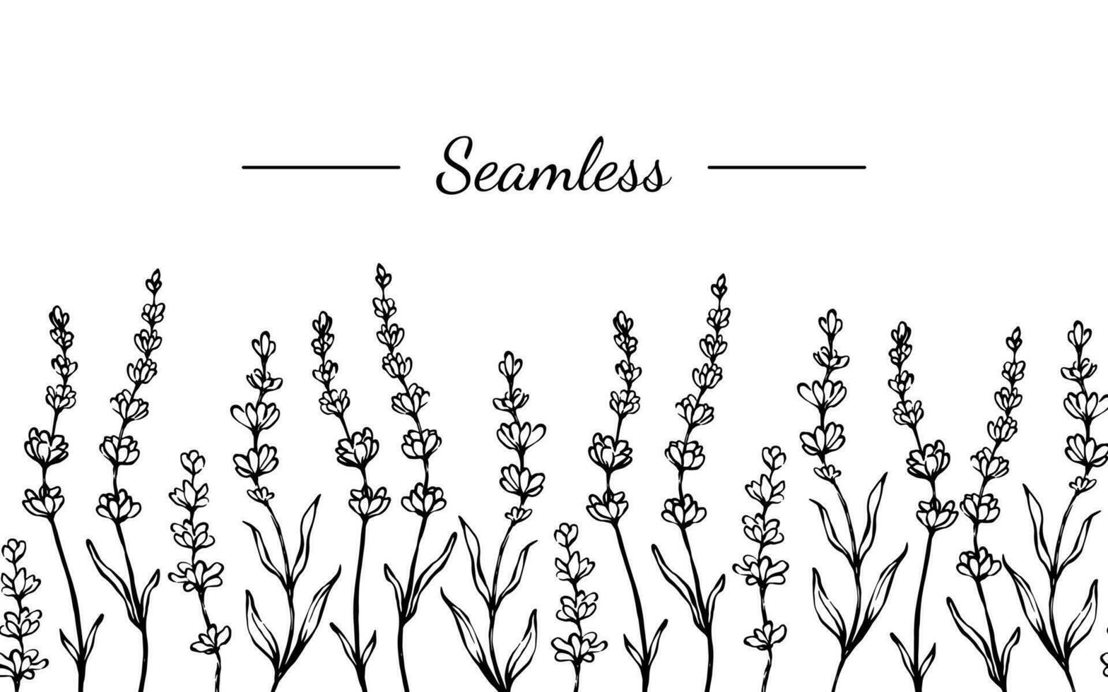 lavendel- sömlös gräns svart och vit hand dragen bläck linje vår blommig botanisk illustration vektor