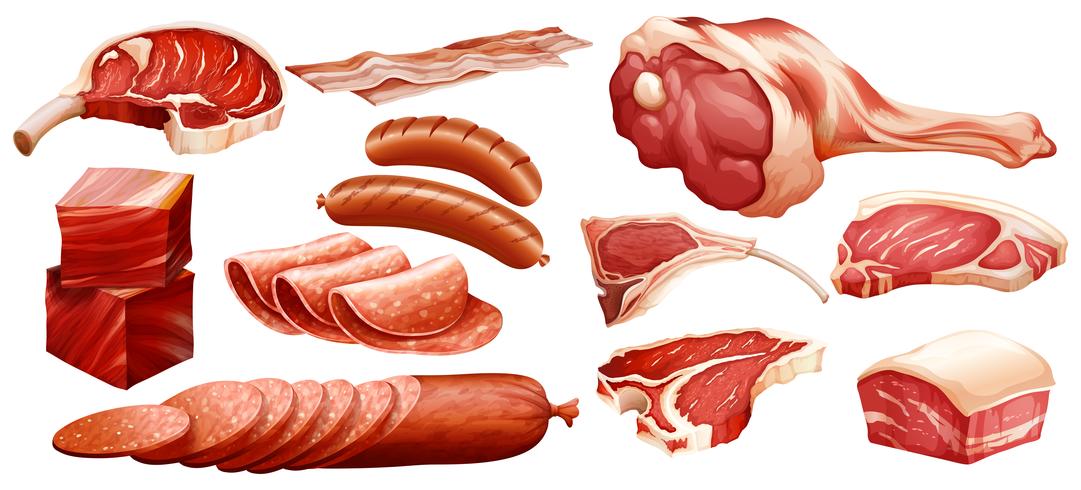 Sats av olika kött vektor