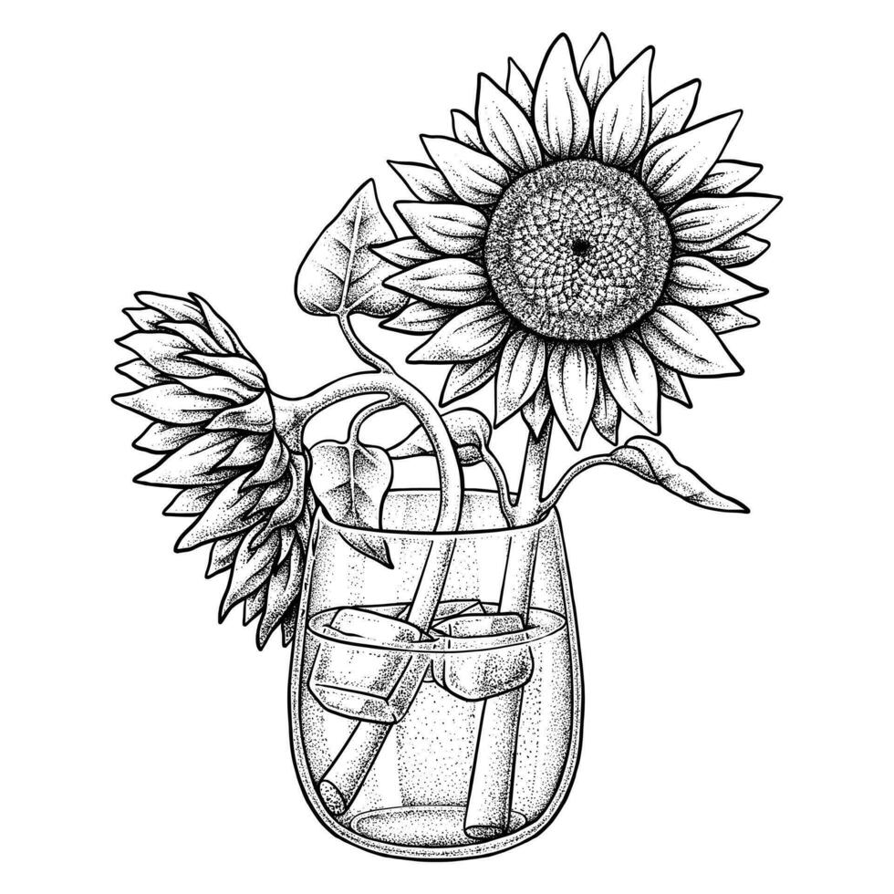 Sonnenblume schwarz und Weiß Illustration vektor