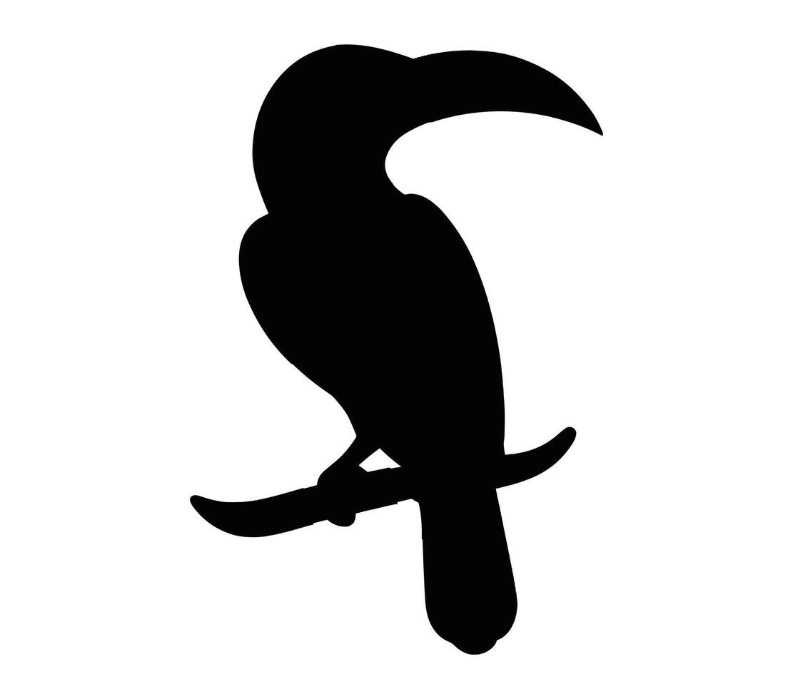 svart och vit afrikansk grå hornbill silhuett. vektor illustration.