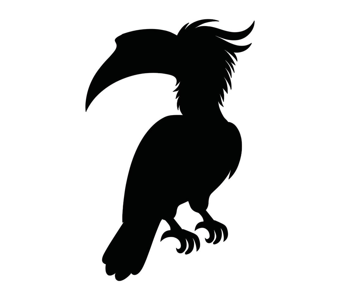 afrikanisch grau Nashornvogel Silhouette Symbol. Vektor Bild.
