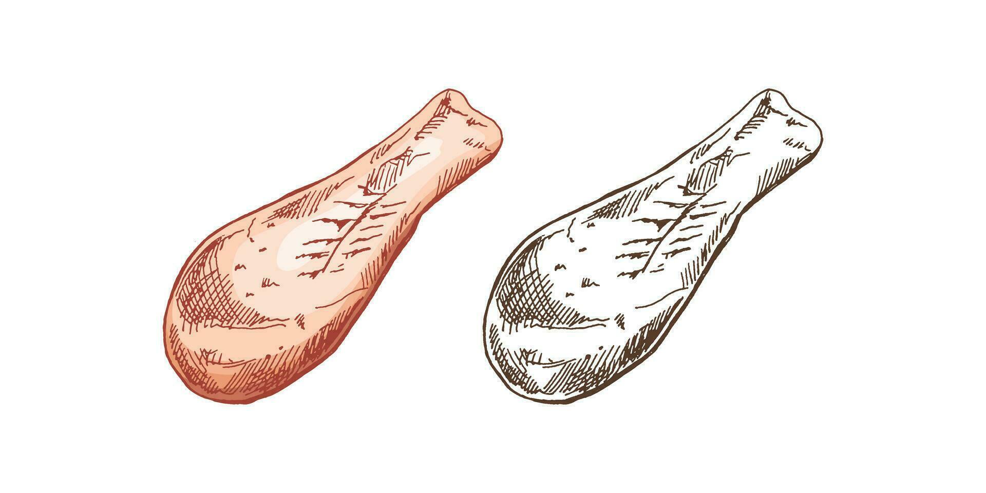 organisk mat. ritad för hand färgad och svartvit vektor skisser av kyckling ben, mat, kött. klotter årgång illustration. dekorationer för de meny av kaféer och etiketter. graverat bild.