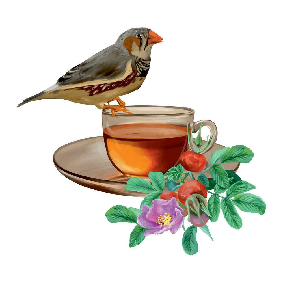 Tasse von Tee, Hagebutte, Vogel. Vektor Illustration im Grafik Stil. Design Element zum Karten, Einladungen, Frühling Banner, Verpackung, Abdeckungen, Etiketten, Flyer.