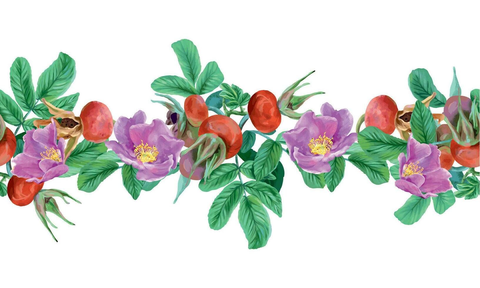 reste sig höfter, bär och blommor, sömlös gräns. vektor illustration i grafisk stil. design element för kort, inbjudningar, vår banderoller, förpackning, täcker, etiketter, flygblad.