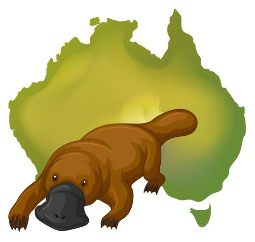 Karte von Platypus und Australien vektor