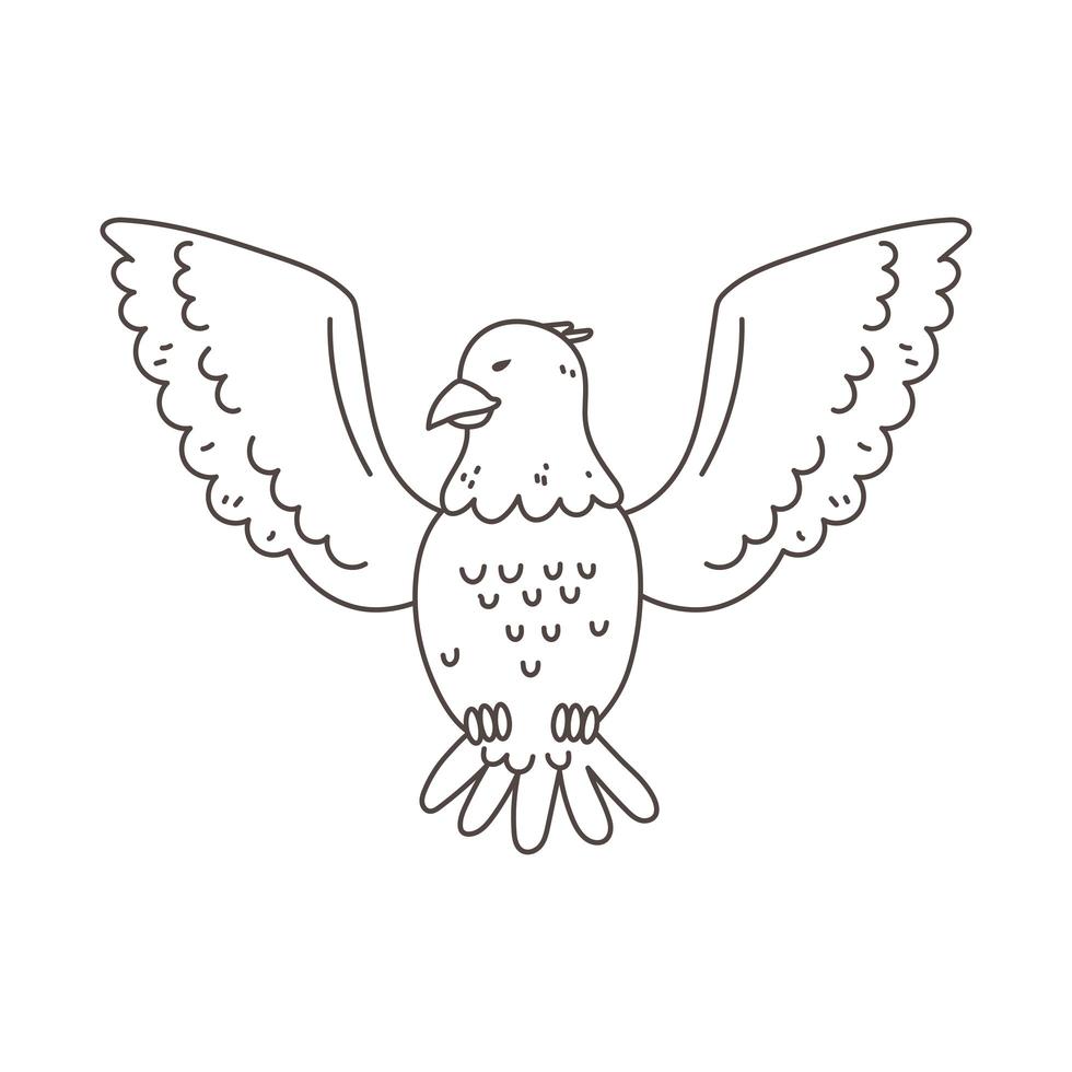 Weißkopfseeadler Umriss vektor