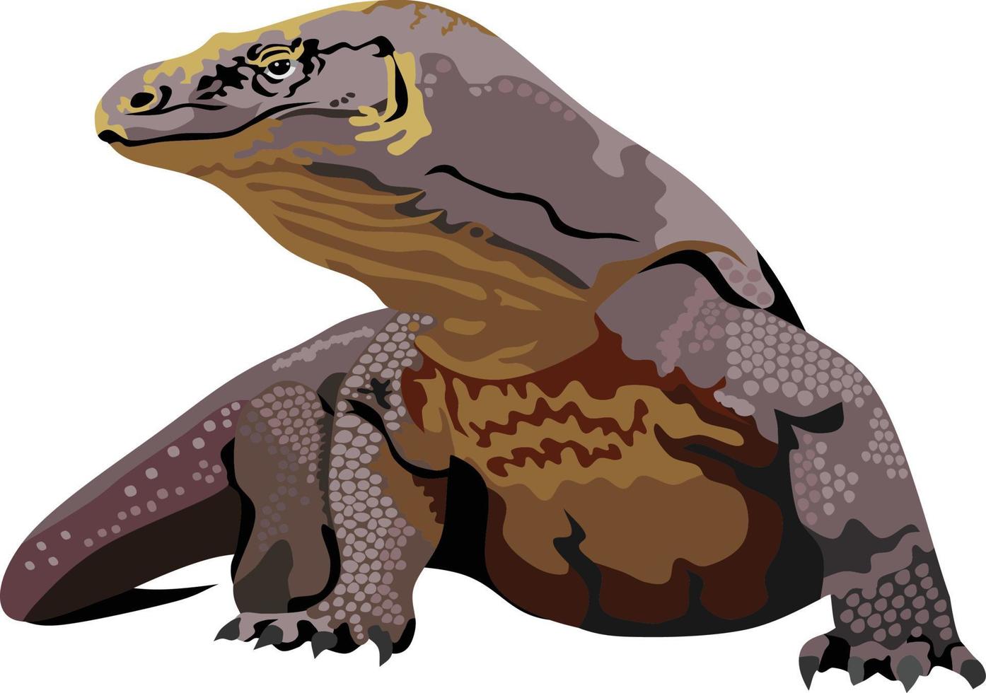 Komodo Drachen Reptil Vektor