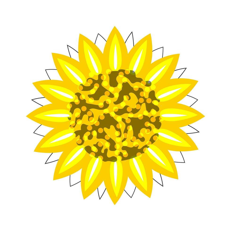 Sonnenblume Gelb Blume auf ein Weiß Hintergrund isoliert. Vektor. vektor