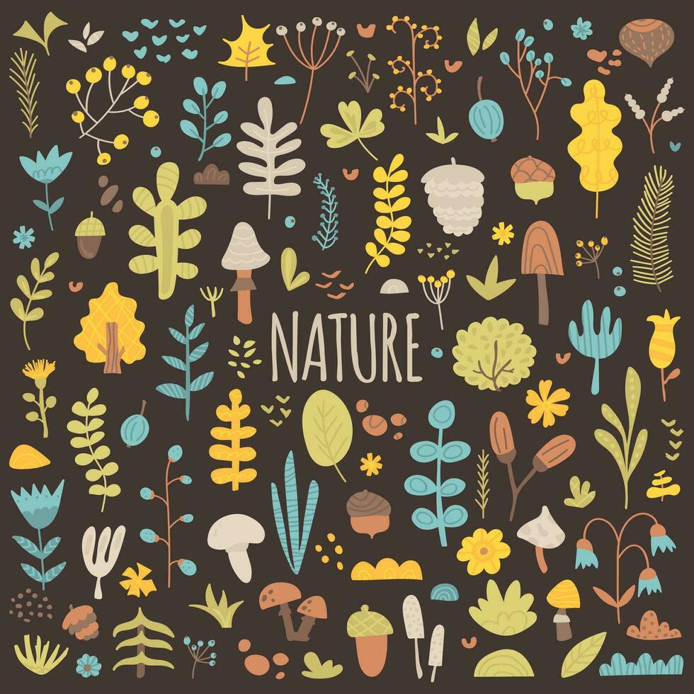 natur, årstider, vår, sommar. stor samling av naturlig botanisk element. uppsättning av löv, blomma, träd, svamp, bär, ekollon, kon, nöt, örter och grenar. vektor hand dragen platt illustration