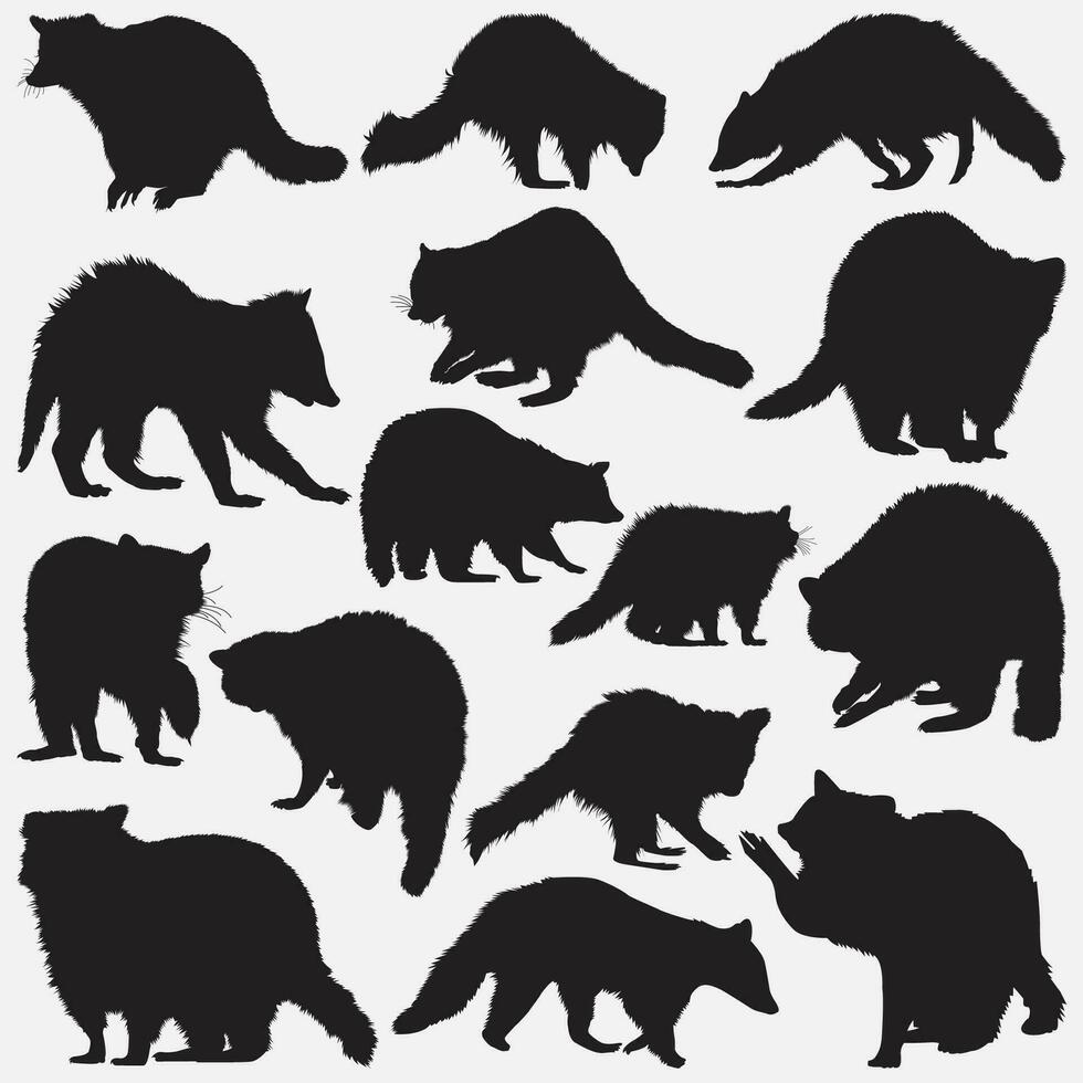 tvättbjörn djur- silhuett uppsättning vektor