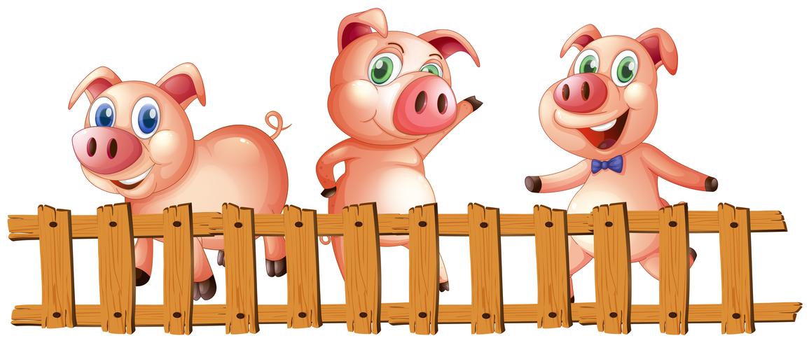 Drei Schweine hinter dem Zaun vektor