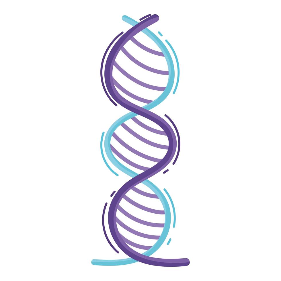 molekyl dna genetisk vektor