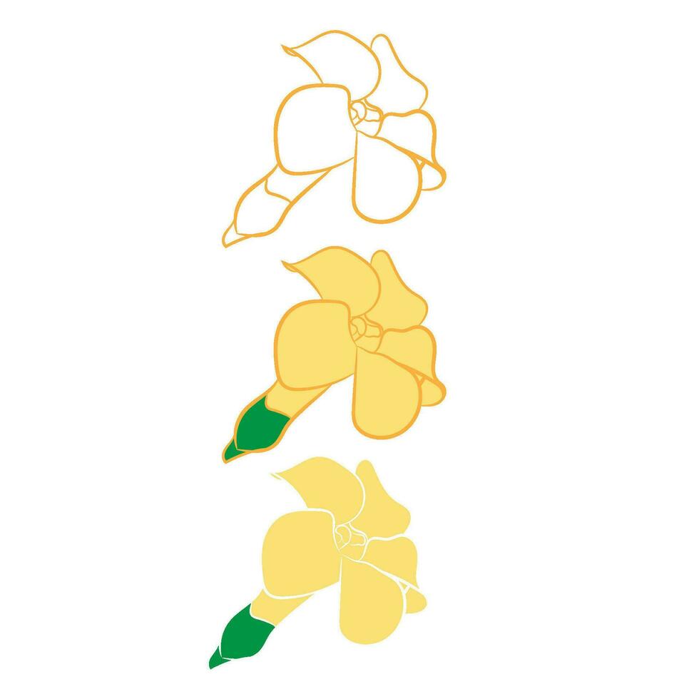 Hawaii Hand Zeichnung Gekritzel puakenikeni Blume Zeichnung Pflanze vektor
