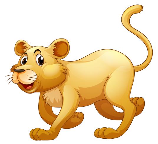 Lion går ensam på whitebackground vektor