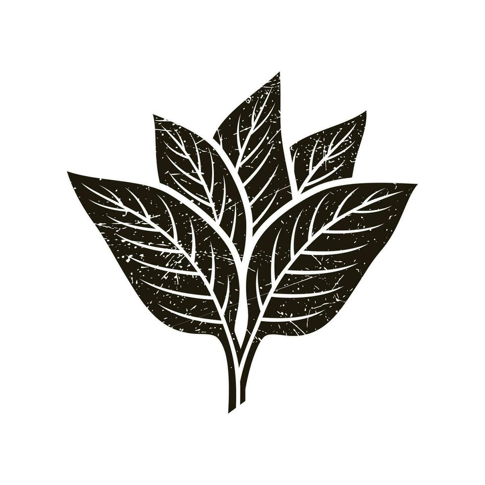 Blatt Symbol. Blätter Symbol auf isoliert Hintergrund. Sammlung Grün Blatt. Elemente Design zum natürlich, Öko, vegan, bio Etiketten. vektor