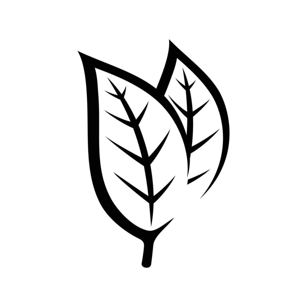 blad ikon. löv ikon på isolerat bakgrund. samling grön blad. element design för naturlig, eko, vegan, bio etiketter. vektor