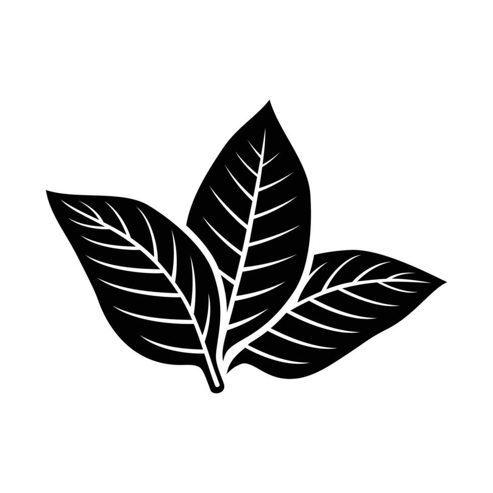 Blatt Symbol. Blätter Symbol auf isoliert Hintergrund. Sammlung Grün Blatt. Elemente Design zum natürlich, Öko, vegan, bio Etiketten. vektor