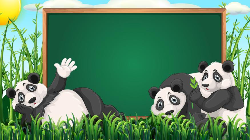 Board Design mit drei Pandas auf Gras vektor