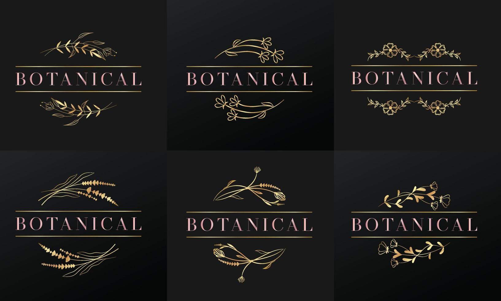 handgezeichneter goldener botanischer und floraler Rahmen für botanisches Logo vektor